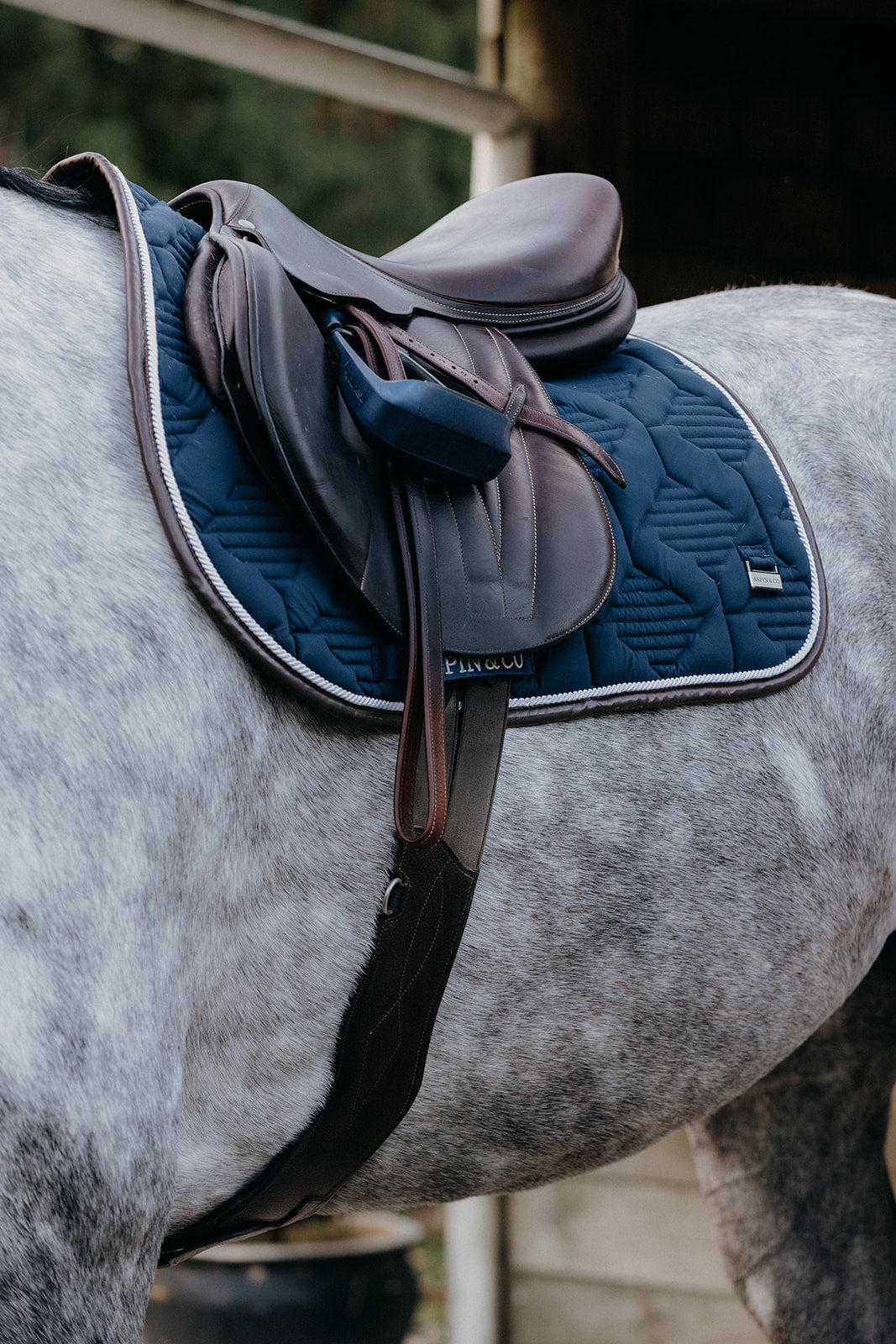 Ultra Comfort Saddle Blanket Jumping