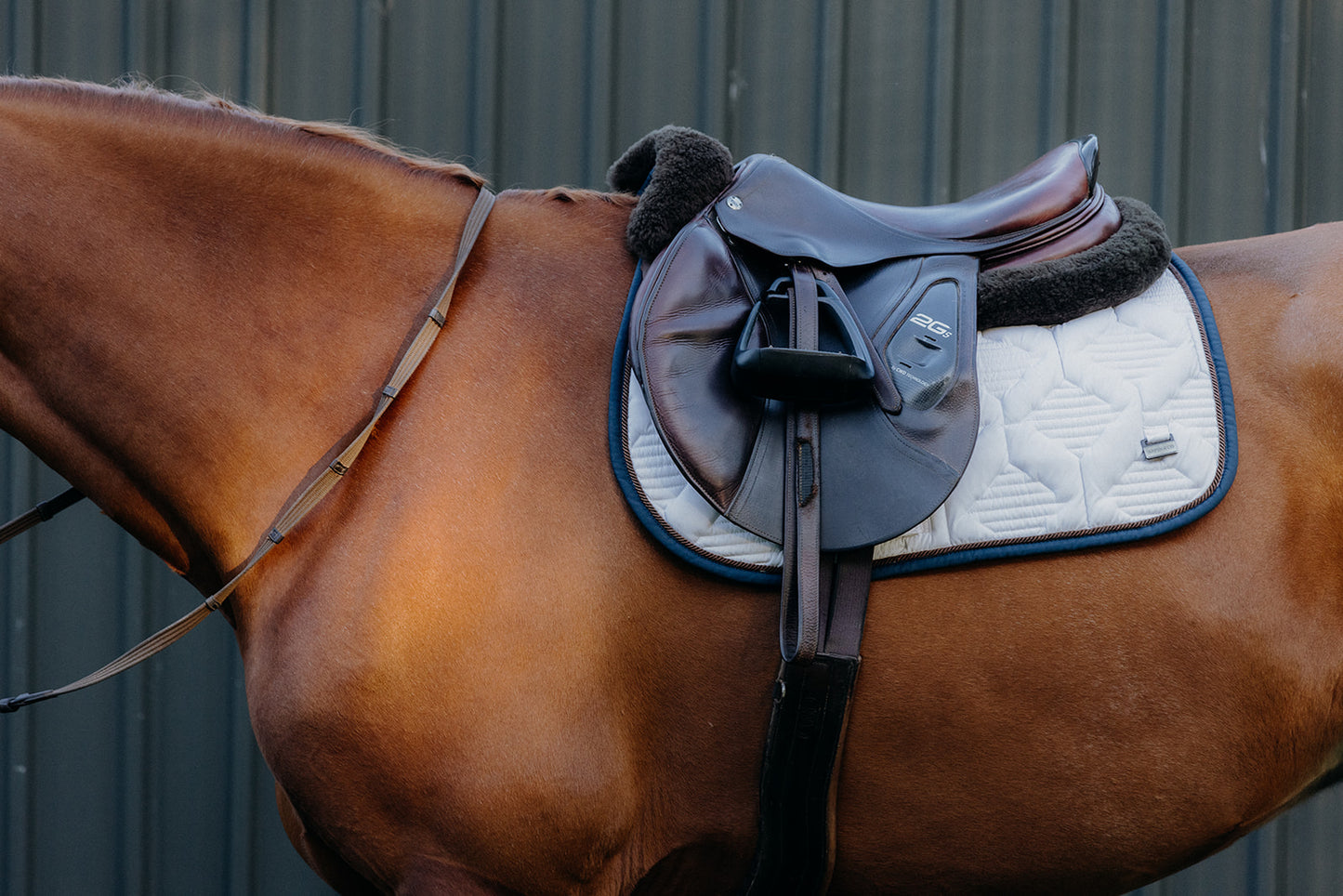 Ultra Comfort Saddle Blanket Jumping
