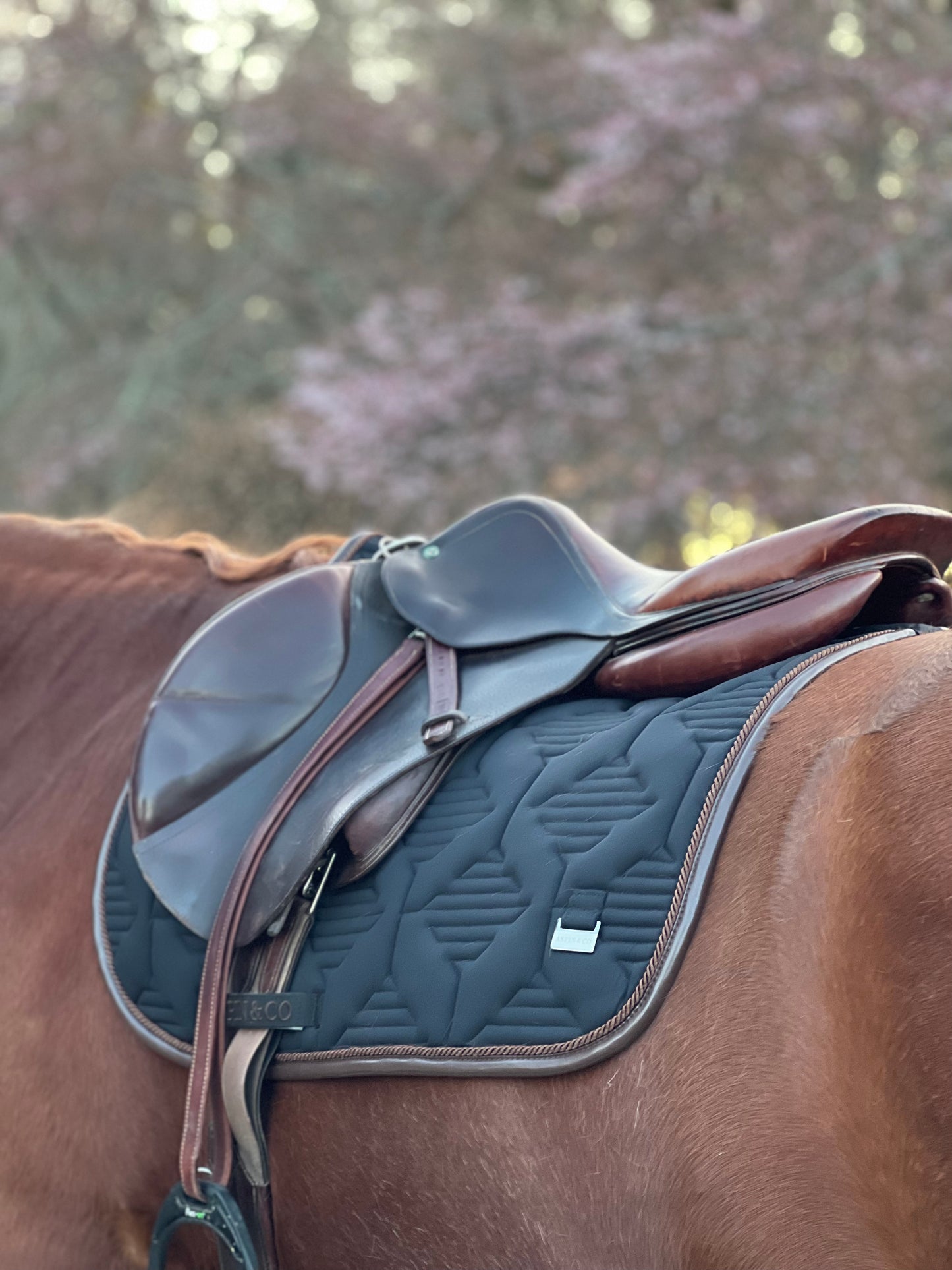 Ultra Comfort Saddle Blanket Jumping