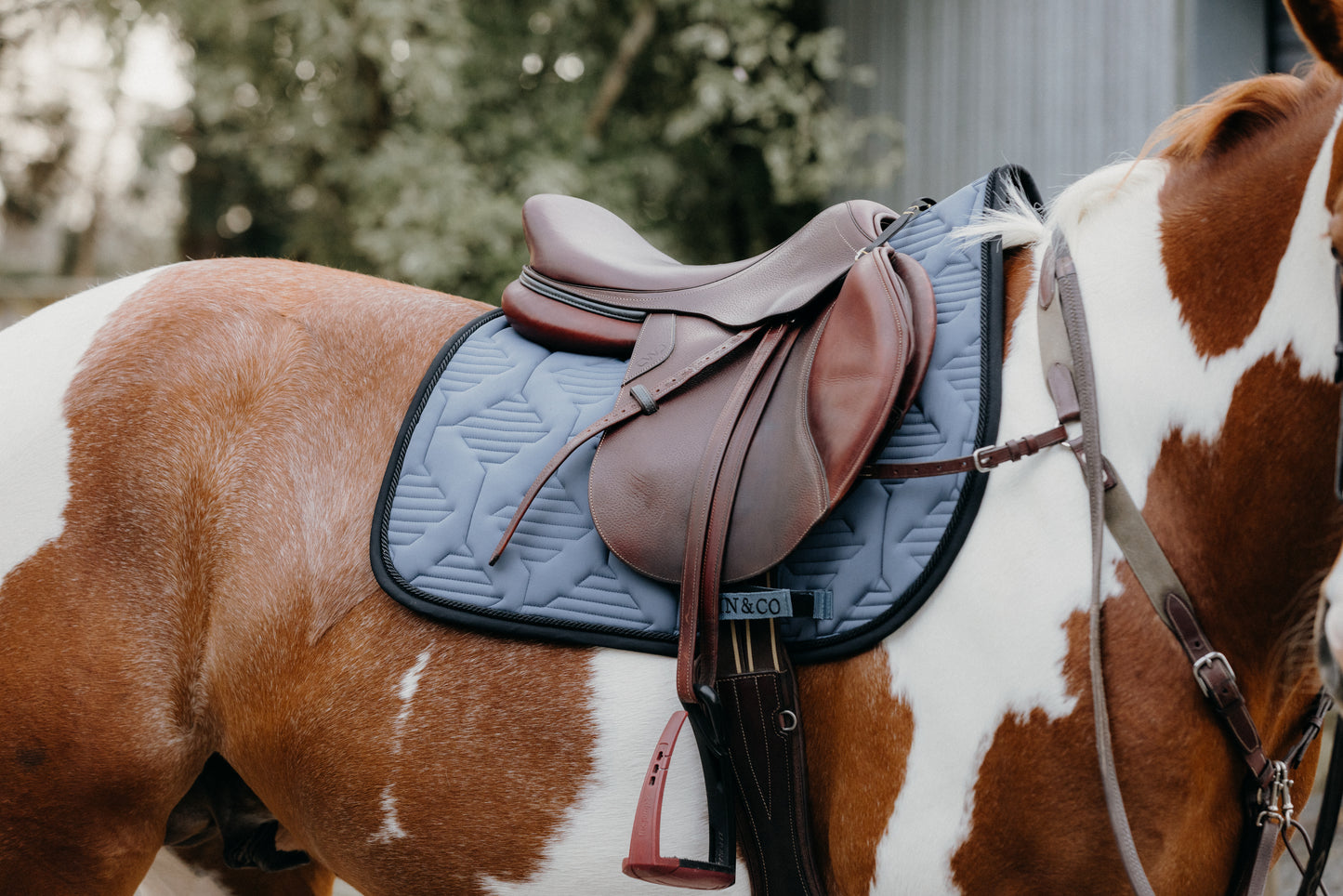 Ultra Comfort Saddle Blanket Jumping