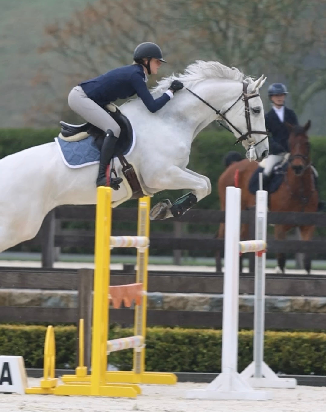 Ultra Comfort Saddle Blanket Jumping