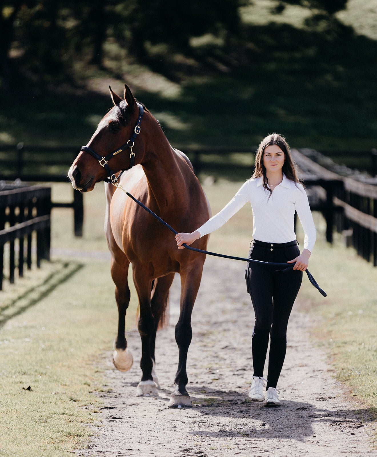 Luxe Compression Breeches