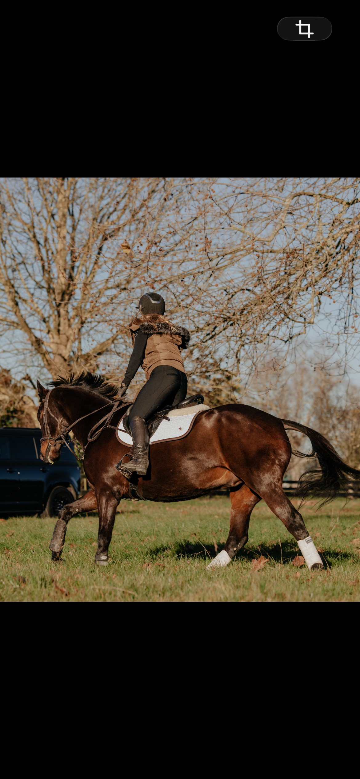 Brown & White Saddle pad