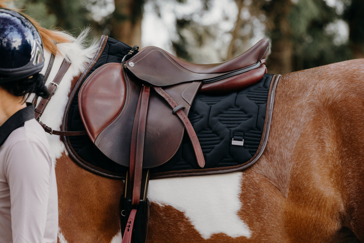 Ultra Comfort Saddle Blanket Jumping