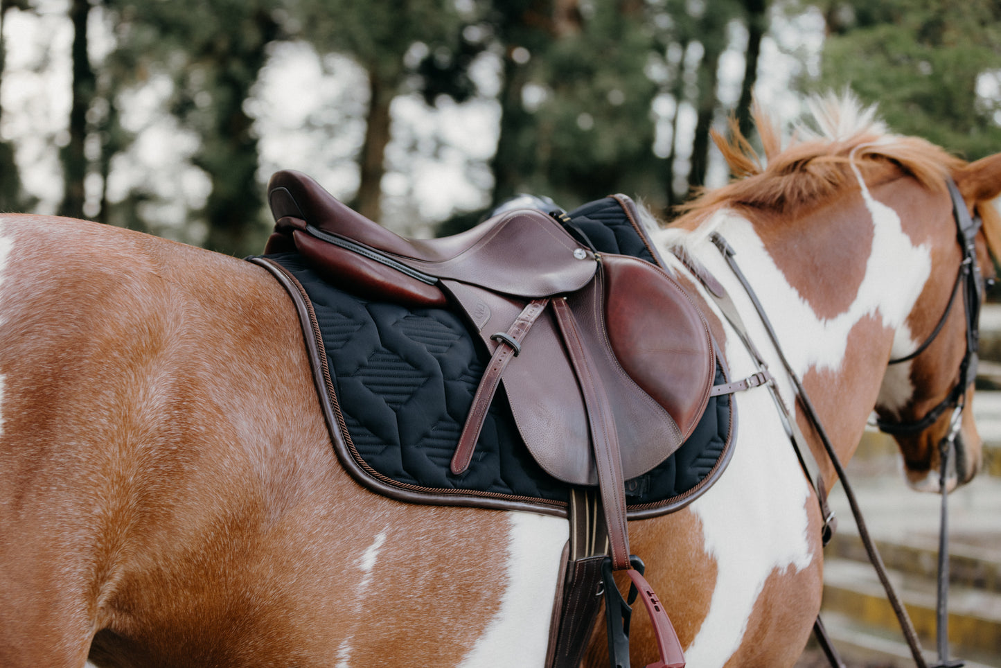 Ultra Comfort Saddle Blanket Jumping