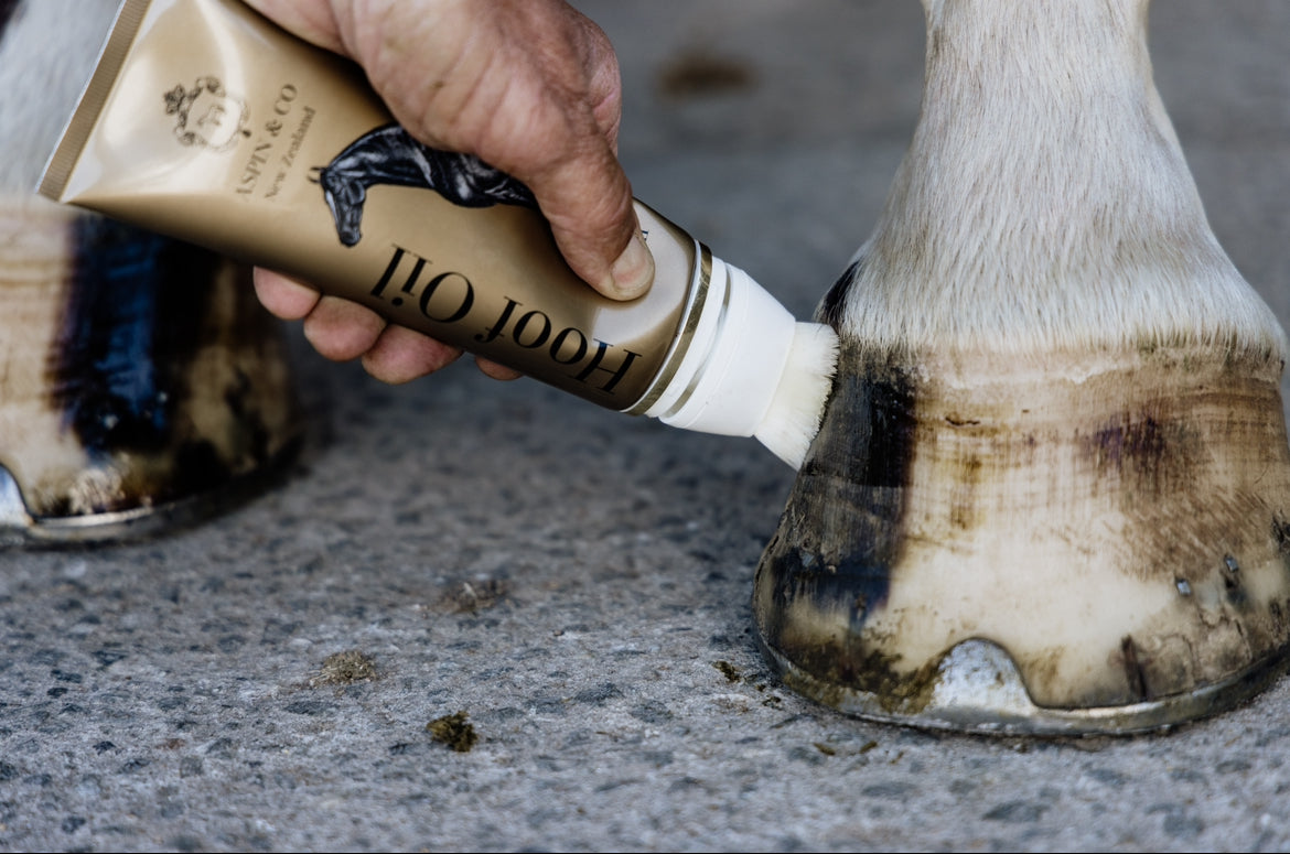Aspin & Co Hoof Oil
