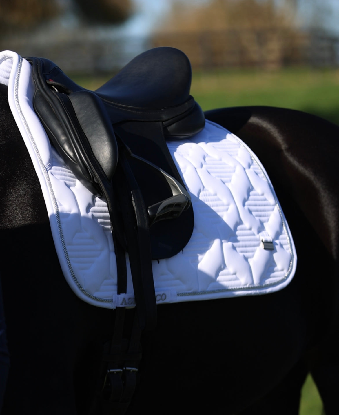 Ultra Comfort Saddle Blanket Jumping