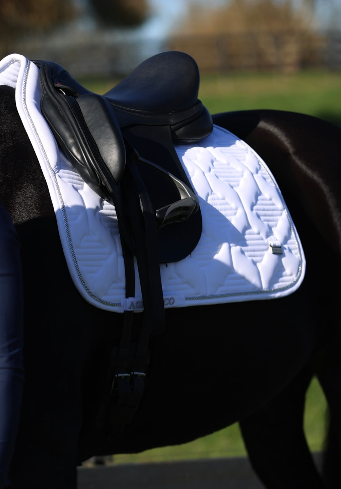 Ultra Comfort Saddle Blanket Jumping