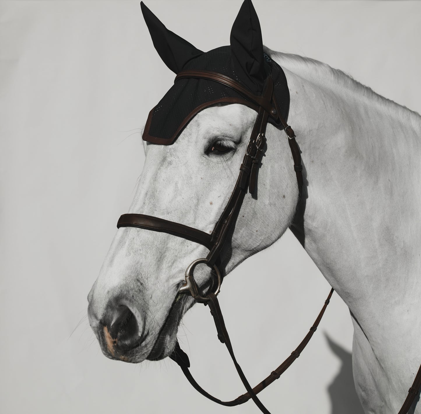 Aspin & Co Luxury Ear Bonnets