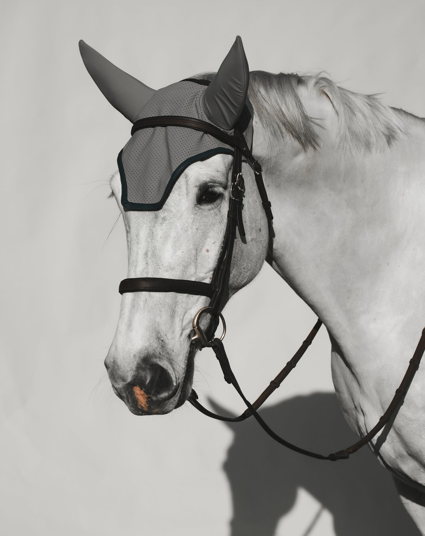 Aspin & Co Luxury Ear Bonnets