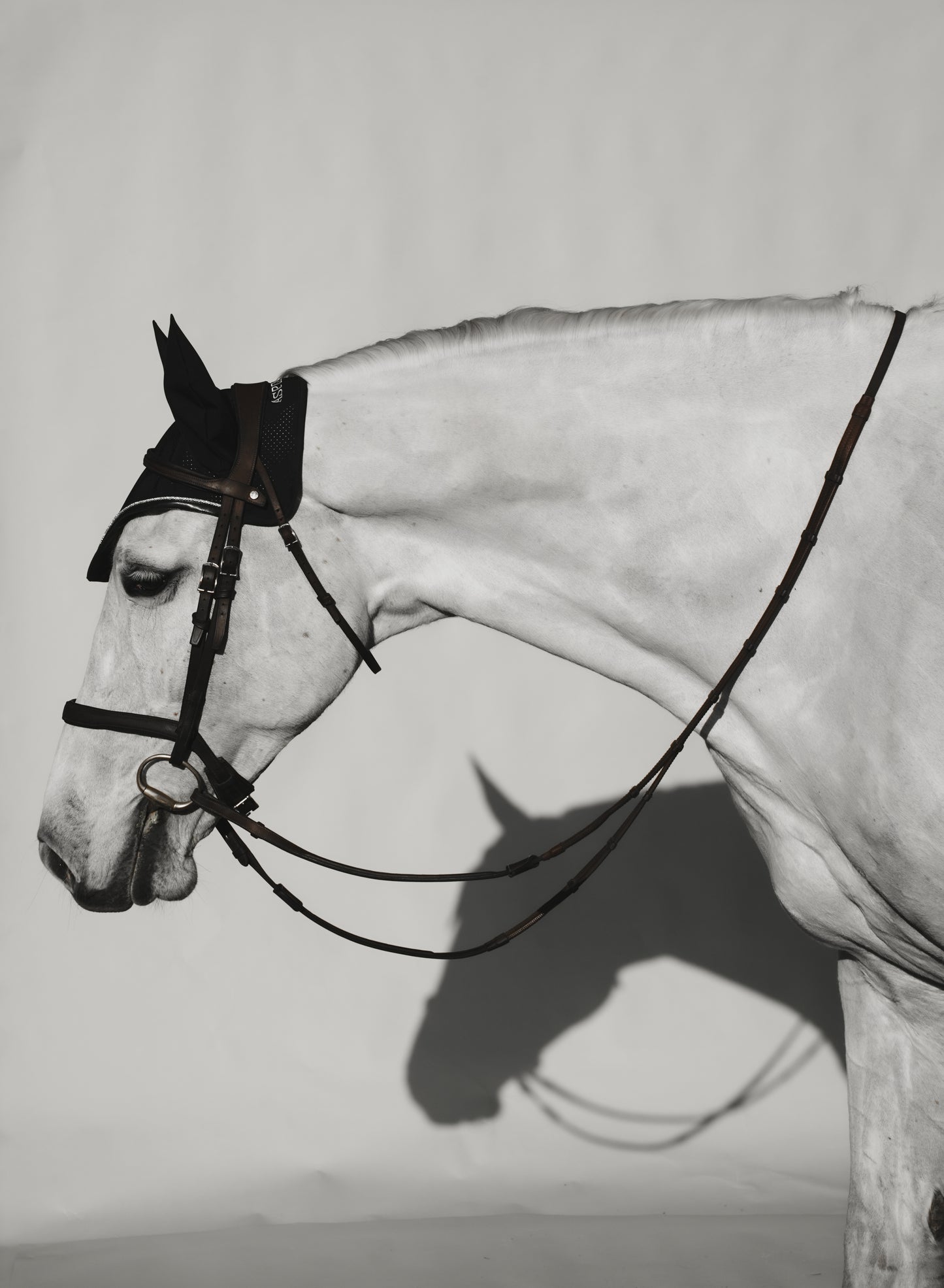 Aspin & Co Luxury Ear Bonnets
