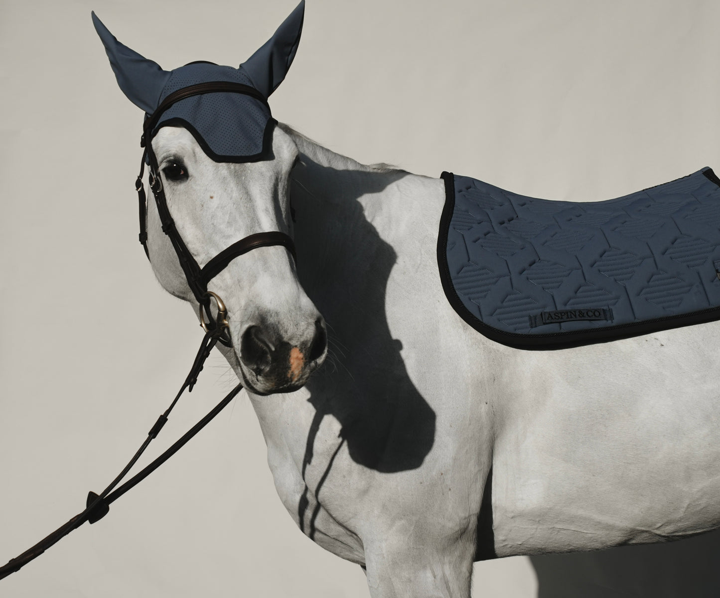 Ultra Comfort Saddle Blanket Jumping