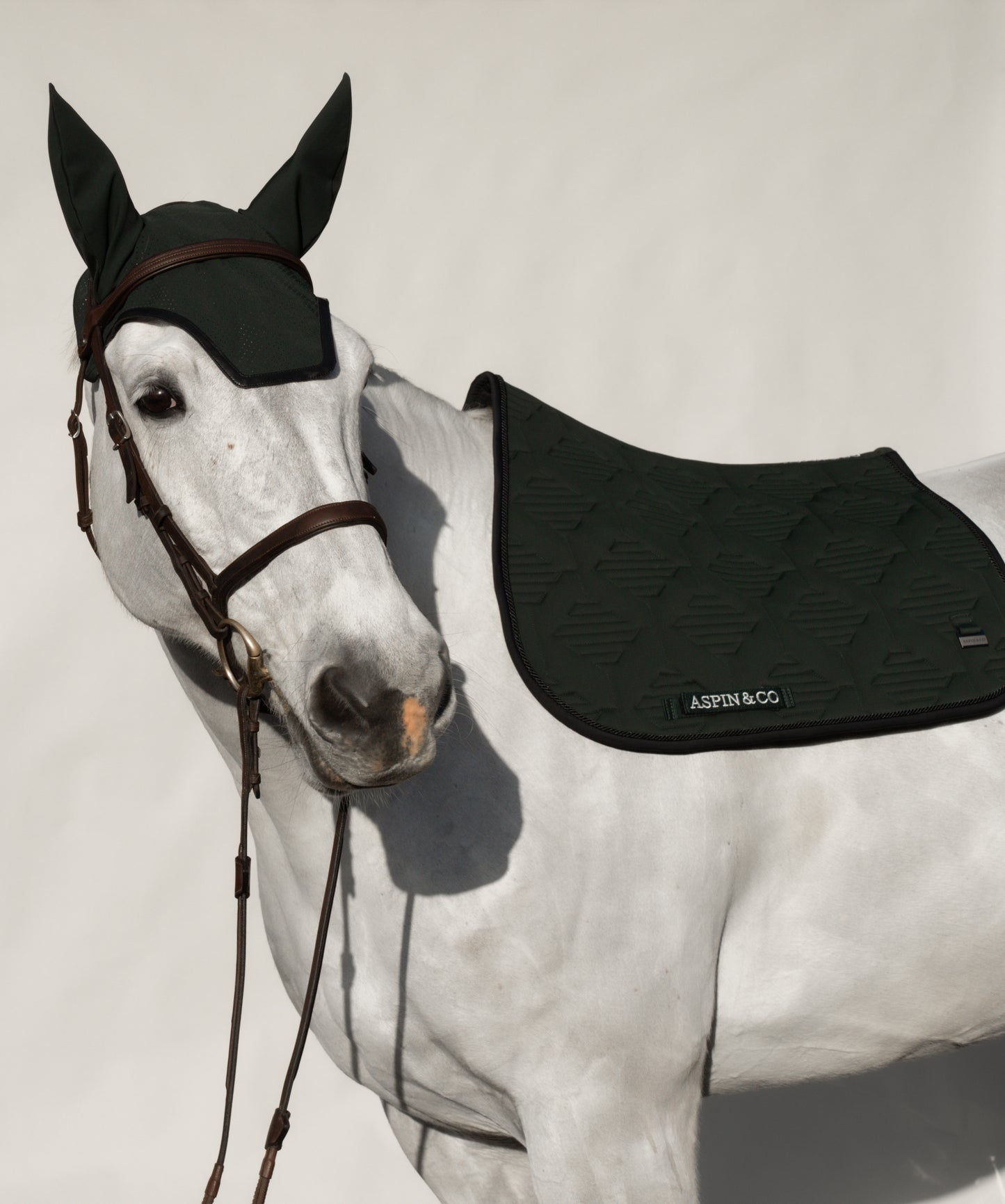 Ultra Comfort Saddle Blanket Jumping