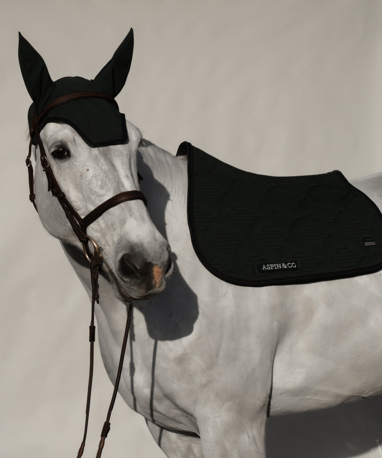 Ultra Comfort Saddle Blanket Jumping