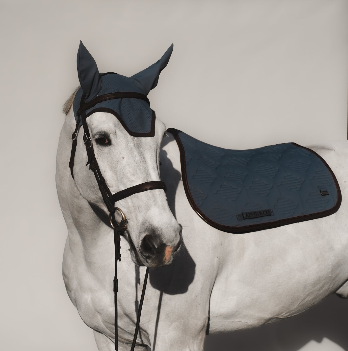 Ultra Comfort Saddle Blanket Jumping