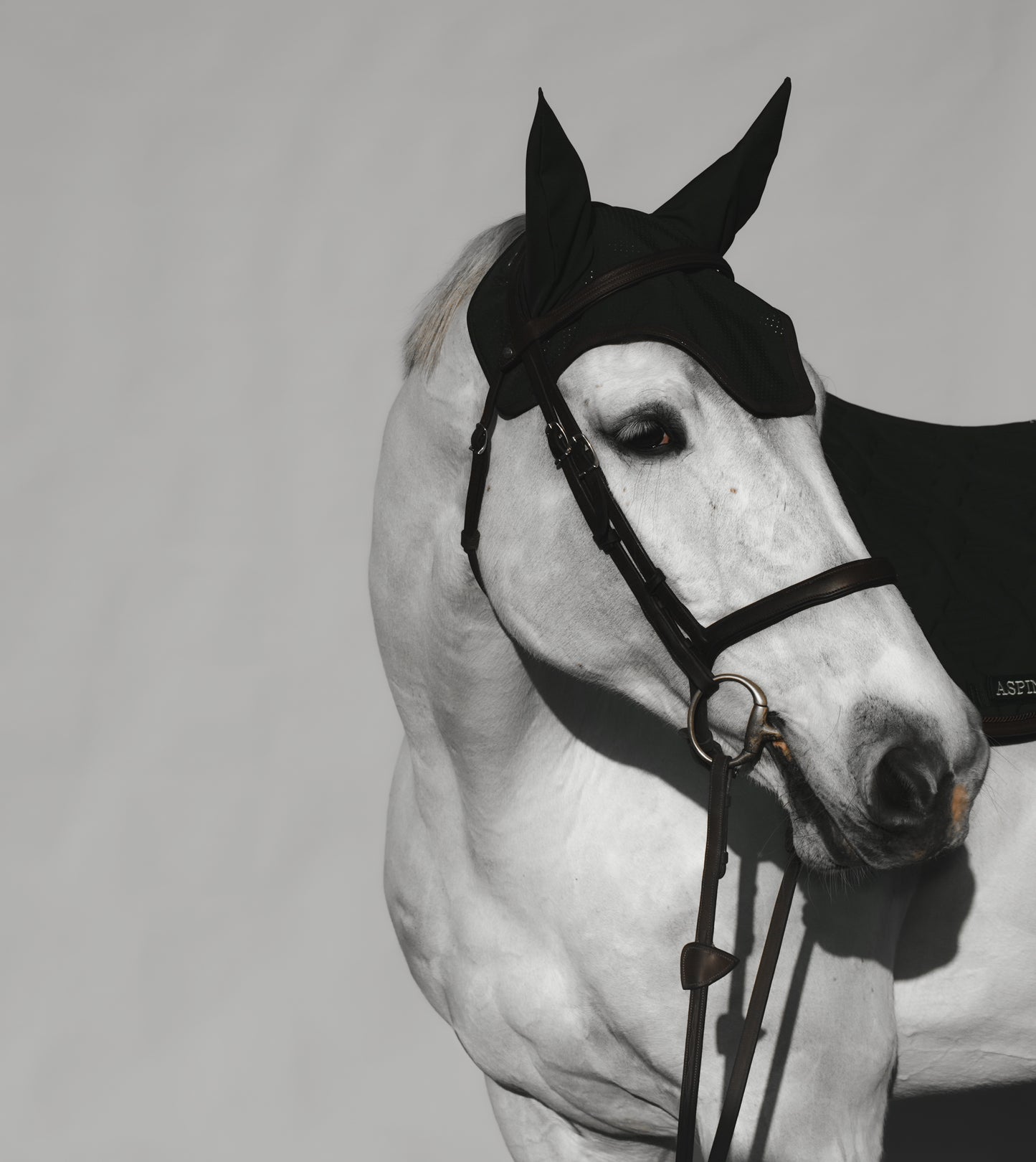 Aspin & Co Luxury Ear Bonnets