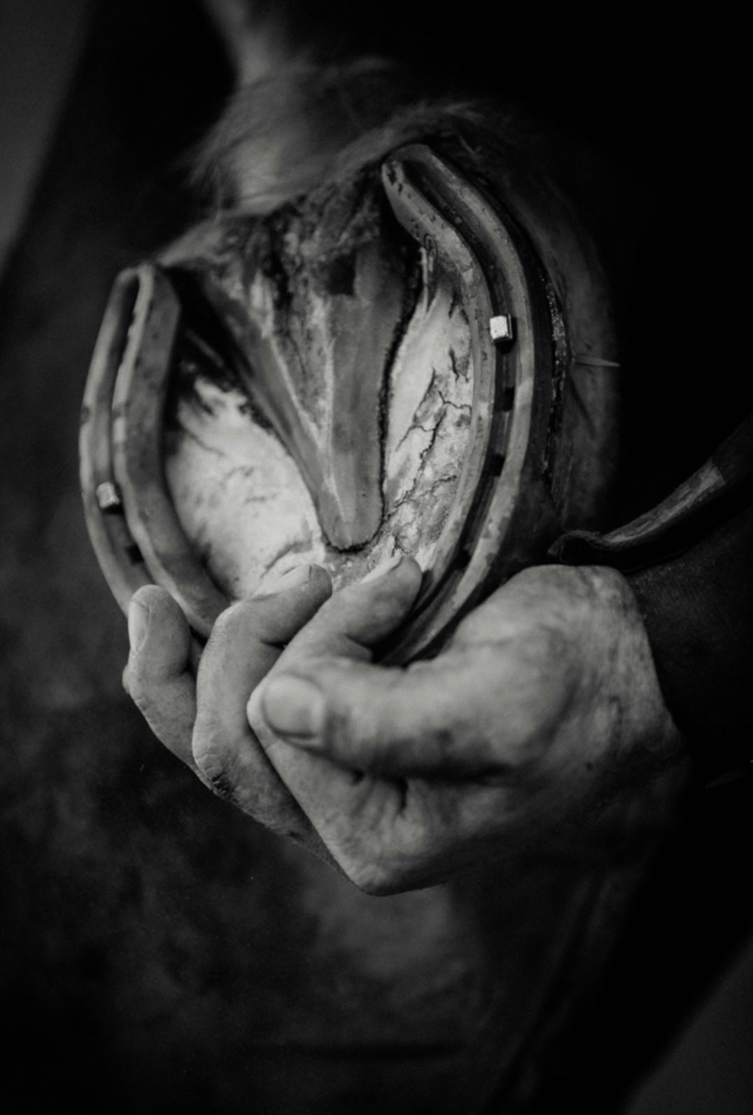 BLUESTONE BANG - Therapeutic Hoof Wax