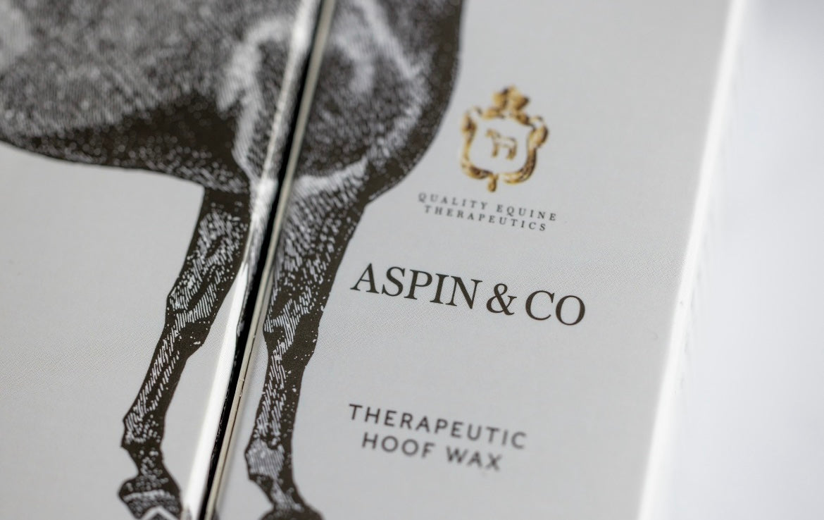 BLUESTONE BANG - Therapeutic Hoof Wax