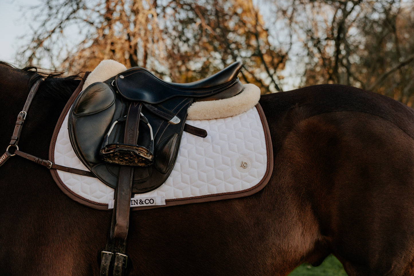 Brown & White Saddle pad