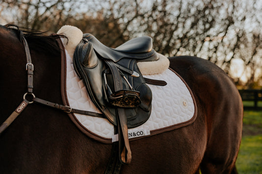 Brown & White Saddle pad