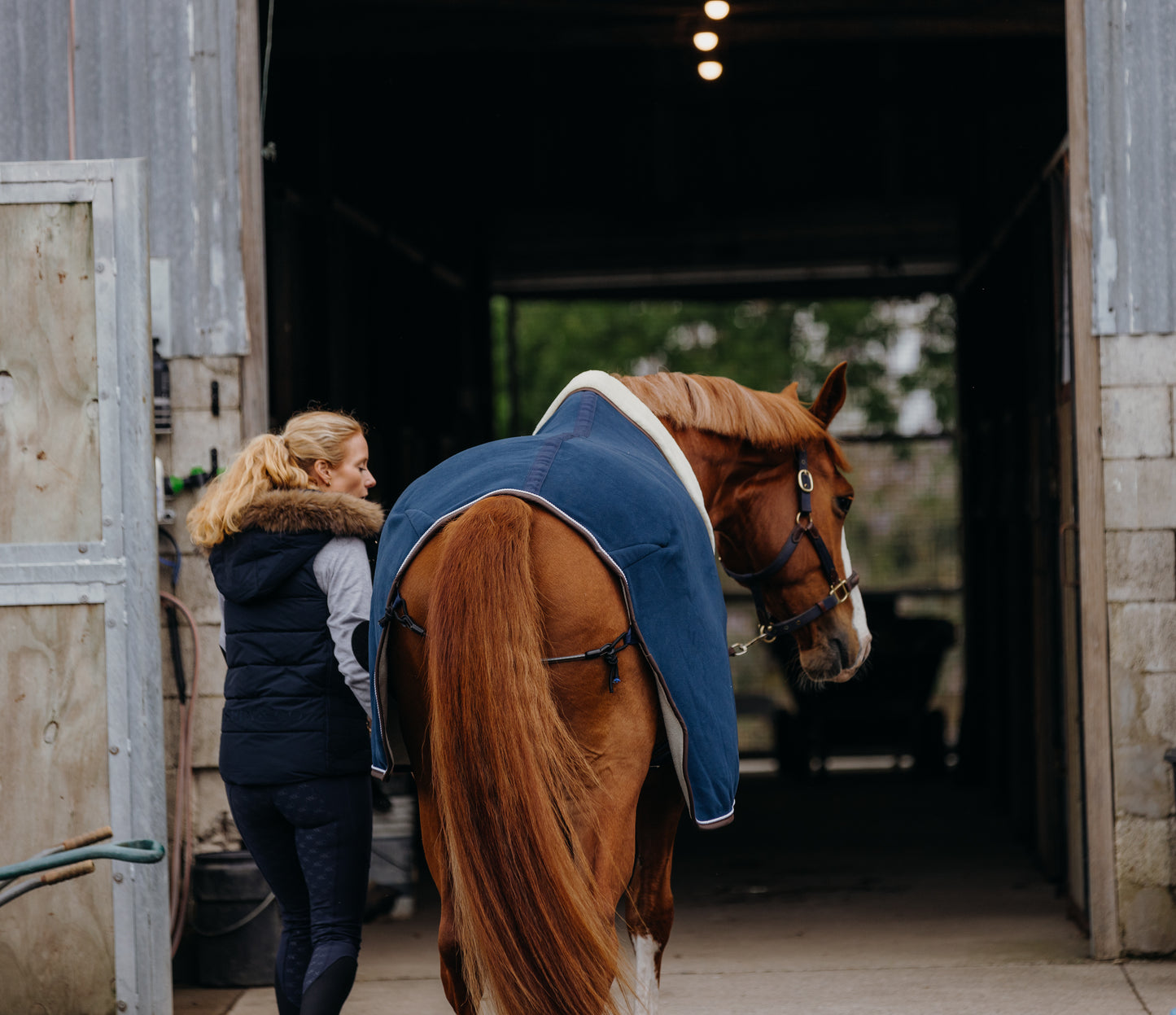 Luxury Show Rug